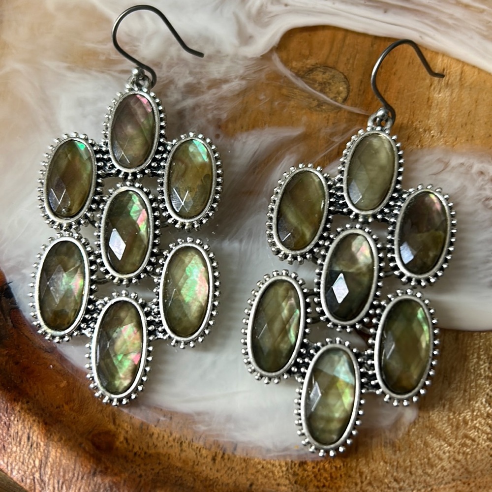 Abalone Shell Based Statement Earrings - image 1